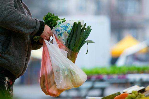 polythene bag