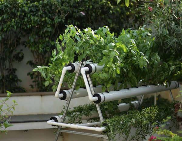 hydroponics farming